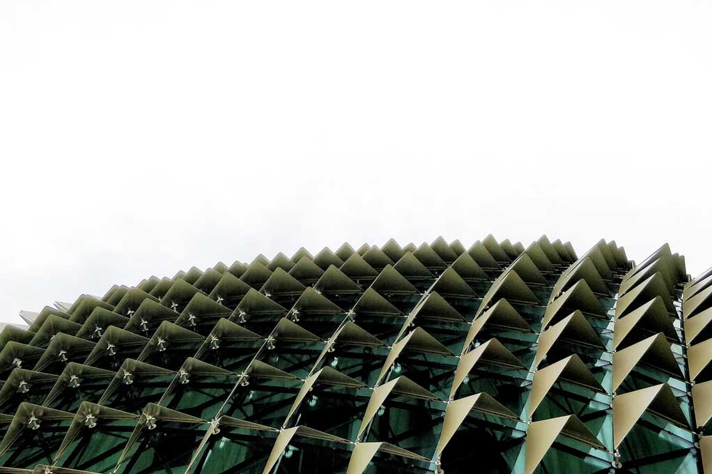 implementación erp fallida